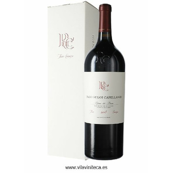 Vino Magnum Pago Capellanes Crianza